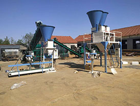 临沂临沭县有机肥皮带定量包装秤双斗皮带定量