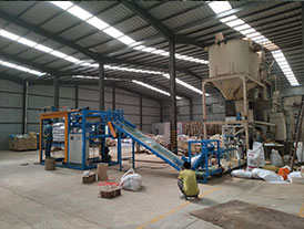 山西皮带定量包装秤高位码垛机现场