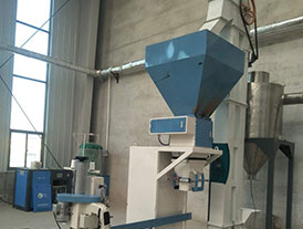 树脂颗粒提升定量包装生产线安装现场