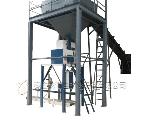 LH-DCS-B-50/D 单斗皮带包装秤