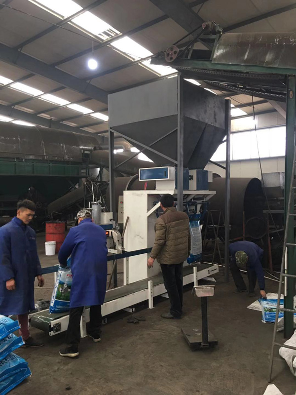 双工位颗粒包装秤